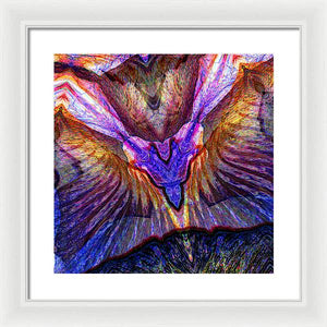 Iris - Framed Print