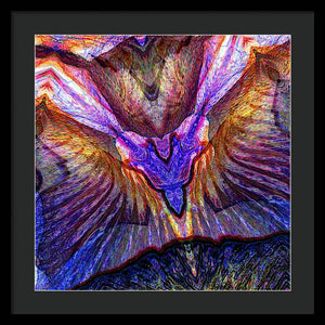 Iris - Framed Print