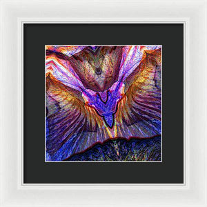 Iris - Framed Print