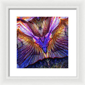 Iris - Framed Print