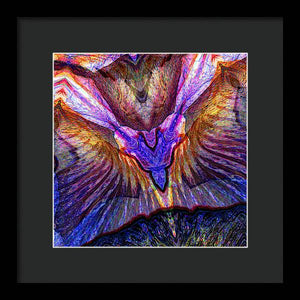 Iris - Framed Print