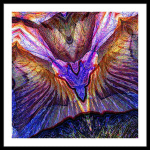 Iris - Framed Print