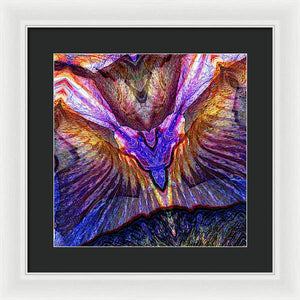 Iris - Framed Print