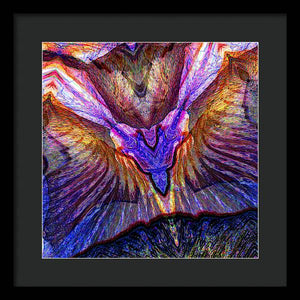 Iris - Framed Print