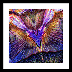 Iris - Framed Print