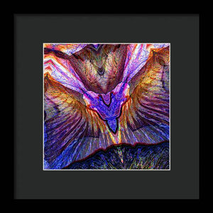 Iris - Framed Print