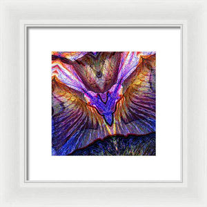 Iris - Framed Print