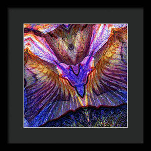 Iris - Framed Print