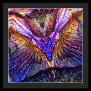 Iris - Framed Print