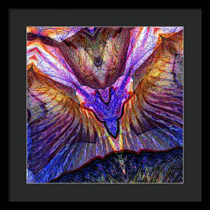 Iris - Framed Print