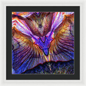 Iris - Framed Print