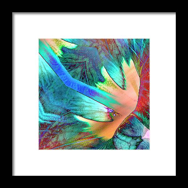 Pale Wings - Framed Print