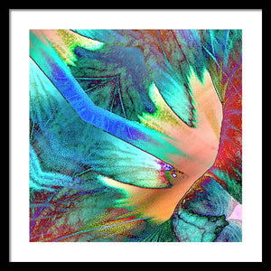 Pale Wings - Framed Print