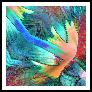 Pale Wings - Framed Print