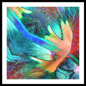 Pale Wings - Framed Print