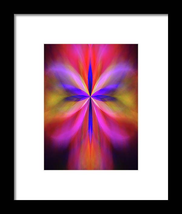 Sacred Dragonfly - Framed Print