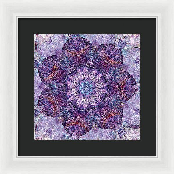 Water Iris Mandala - Framed Print